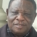 Jimoh Buraimoh - Artist