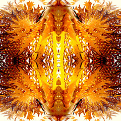 Joann Teel - Artist