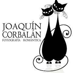 Joaquin Corbalan - Artist