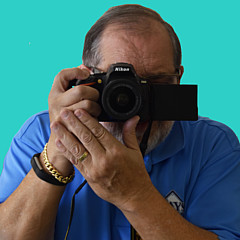Joe Sclafani - Artist