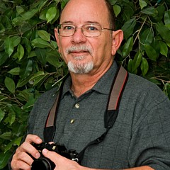 John Panella - Artist
