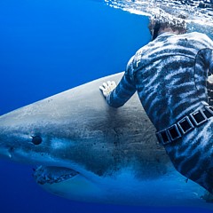 Juan Sharks Juan Sharks