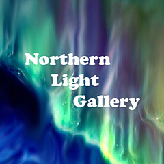 Northern Light Gallery - Artist