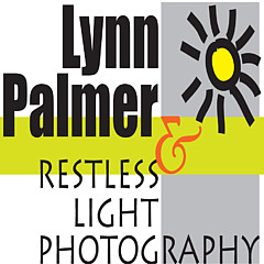 Lynn Palmer - Artist