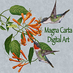 Magna Carta - Artist