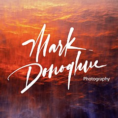 Mark Donoghue - Artist