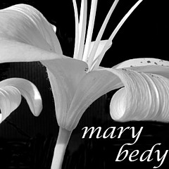 Mary Bedy - Artist