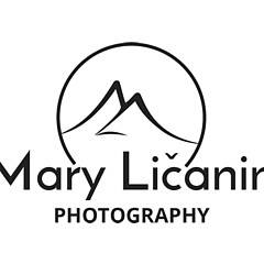 Mary Licanin - Artist