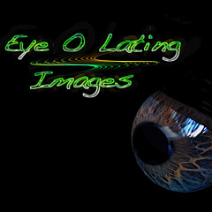 Eye Olating Images - Artist