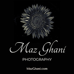 Maz Ghani - Artist