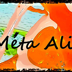 Meta Ali
