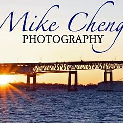 Michael Cheng - Artist