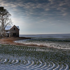 Michael DeGrenier - Artist
