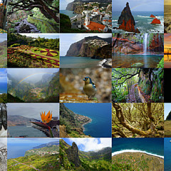 Madeira Photo - Artist
