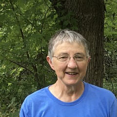 Michelle Schutt - Artist
