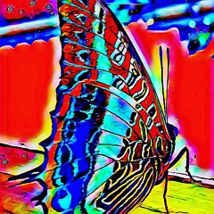 Mike Kaufmann - Artist