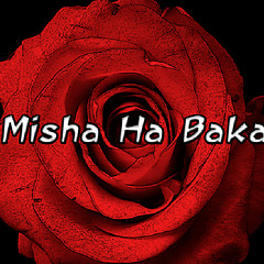 Misha Ha Baka - Artist