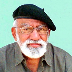 Mohamed Ismail - Artist