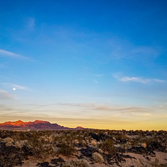 Mojave Sunset - Artist