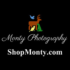 Monty Photography