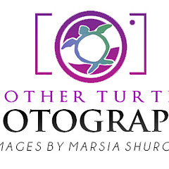 Mother Turtle Photography Images by Marsia Shuron - Artist