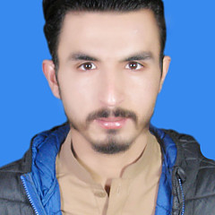 Najeeb ullah Najo - Artist