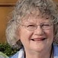 Nan Nelson - Artist