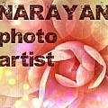 Narayan Beauty - Artist