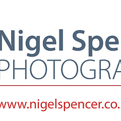 Nigel Spencer - Artist