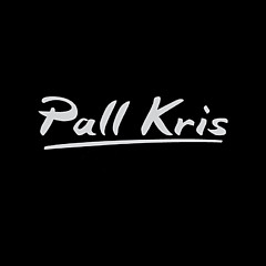 Pall Kris - Artist