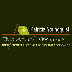 Patricia Youngquist - Artist