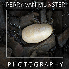 Perry Van Munster - Artist