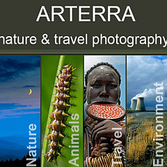 Arterra Picture Library - Artist