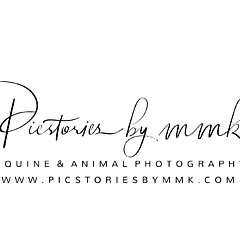 Picstoriesbymmk Photography - Artist