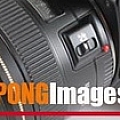 Pong Images - Artist