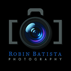 Robin Batista - Artist