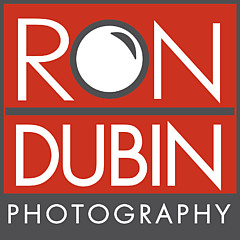 Ron Dubin - Artist