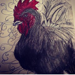 Rooster Art - Artist