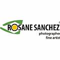 Rosane Sanchez - Artist