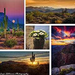 Sonoran Sunrise Photograph by Saija Lehtonen - Fine Art America