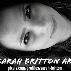 Sarah Britton - Artist