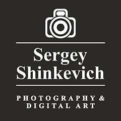 Sergey Shinkevich - Artist
