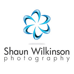 Shaun Wilkinson - Artist