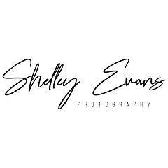 Shelley Evans - Artist