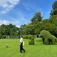 SingRong Ho - Artist