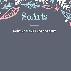 Soarts Paintings and Photography - Artist
