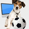 Soccer Dog Design - Artist
