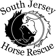 South Jersey Horse Rescue - Artist