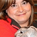 Susan Provan - Artist