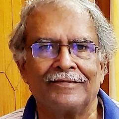 Sree Krishna Vemuri - Artist
